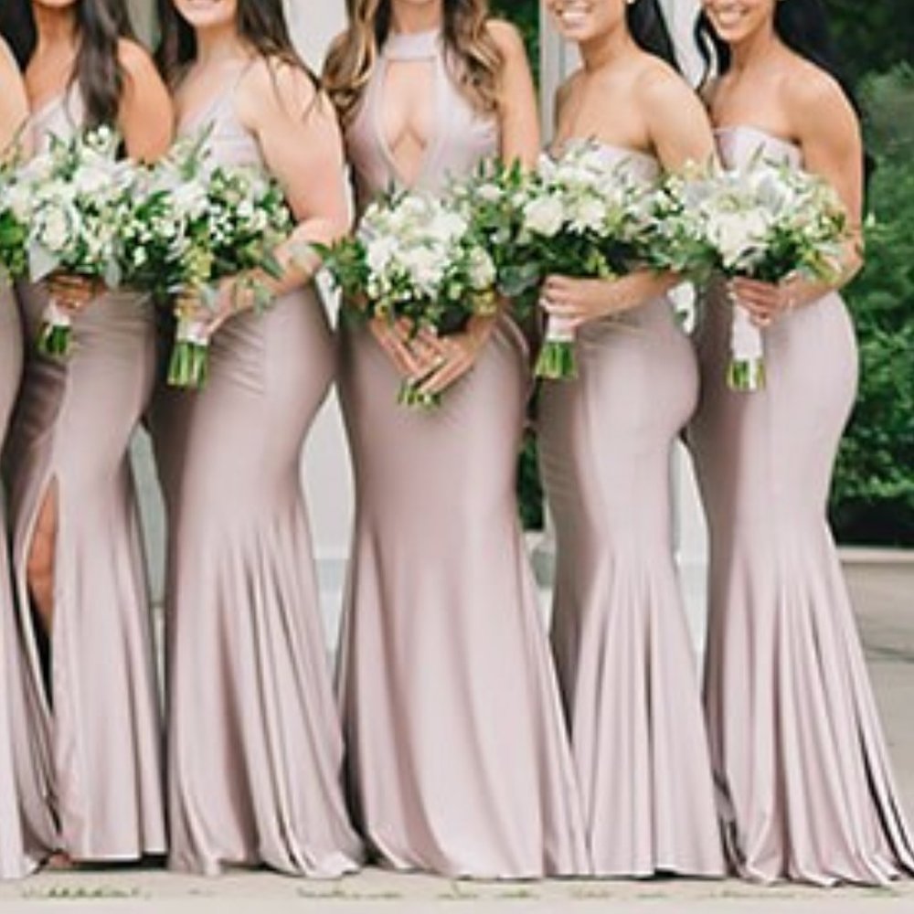 Blush Jessica Angel Dress